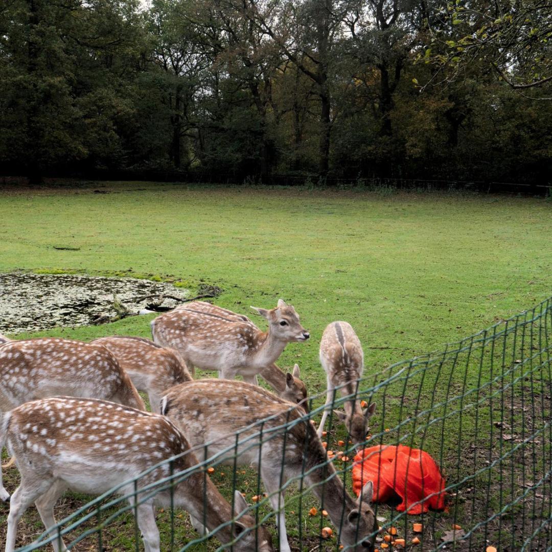 De Spaarbankhoeve Fluitenberg Bagian luar foto